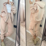 Zipper Hooded Sweatshirts Set Women Long Sleeve 2pcs Sets Female Loose Pockets Long Pant Suits Winter Solid
