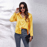 Shirt Women's Denswear Simulation Silk Long-Sleeved Shirt New Women's