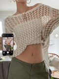 Hollow Out Crochet Long Sleeve Knit Top-Outfit