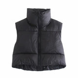 INS 9 Color Double Pocket Standing Collar Cotton Vest 2021 Autumn And Winter New Double Color Slim Cotton Jacket Vest Top-Outfit