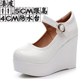 Leather Stone Slope Heel Single Shoe Round Head Light Mouth Work Shoes Thick-Soled Waterproof Table Model Show High Heels