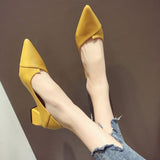 New Pointed Thick Heel High Heels Women 2025 French Solid Color Bist Increase Single Shoes Small Female