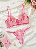 Pink Foliage Mesh Lingerie Set- Outfit