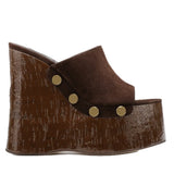Coarse Slippers Women 2025 New Large-Size Wearing Thick-Soled Waterproof Table Sandals Metal Buckle