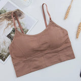 Bra Underwear Bas For Women Bralette Seamless Padded Bra Lingerie Cotton Wireless Fitness Tops Brassiere Bra Solid