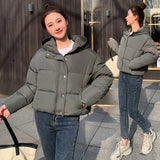 Down Cotton Clothes Women's Short Style 2024 Winter New Thickened Loose Stand Collar Bread Clothing Cotton-Padded Clothes Small Coat Tide-Outfit