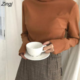 collar Soft warm bottoming shirt Sweater female autumn wild long-sleeved T-shirt tight-fitting chic tops