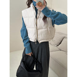 Vagajia Female 2024 Autumn Winter New Simple Versatile Stand Collar Zipper Drawrope Waist Design Sense Plus Thick Cotton Coat-Outfit