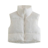 INS 9 Color Double Pocket Standing Collar Cotton Vest 2021 Autumn And Winter New Double Color Slim Cotton Jacket Vest Top-Outfit