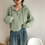 Vintage Zip Up Knitted Hooded CardiganOutfit