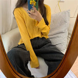 Zingj Thin V-Neck Long-Sleeved Sweater Coat Female Autumn 2024 New Korean Version Of Net Celebrity Large Size Bottom Shirt Tide-Outfit
