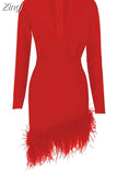 V-Neck Long Sleeve Feathers Bandage Mini Dress Winter Women Black Feathers Asymmetrical Slim Dress Evening Party Club