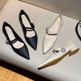 Zingj Pointed Mary Jane Shoes Female Late Evening Wind Gentle Retro Word Buckle Lady Temperament Thick Heel Low Heel Shoes-Outfit