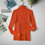 Basic Turtleneck Women Sweaters Autumn Winter Thick Warm Pullover Slim Tops Ribbed Knitted Sweater Jumper Soft Pull