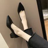 New Pointed Thick Heel High Heels Women 2025 French Solid Color Bist Increase Single Shoes Small Female
