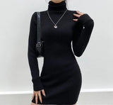 High Neck Long Sleeve Hip DressOutfit