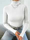 Turtleneck Ribbed Knit Sweater- Outfit