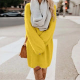 2020 Autumn Winter New Elegant Fashion O Neck Women's Dress Causal Loose Solid Plush Long Sleeve Ladies Dress Plus