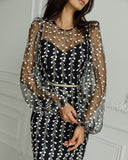 Women Elegant Fashion Long Dress Long Sleeve O Neck Slim Sheath Package Hip Ladylike Embroidered See-through Mesh Vestidos
