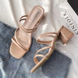 Fine Sandals Female Fairy Wind 2025 New Medium Heds Slippers Women Wear Coarse Heel With Women's