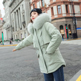 New Coat Female Winter Dress Short Down Cotton Clothing Large Size Korean Student Sent To Overcome The Thin And Thick Loose Cotton-Padded Jacket-Outfit