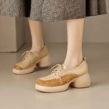 Wind Platform Platform Small Leather Shoes Female Soft Leather Soft Hair 2025 New Spring And Autumn High Heel Thick Heel Tie-Up Single