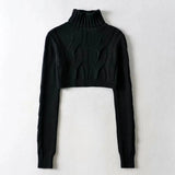 Zingj Knit Turtleneck Sweater Female Temperament Slim All-Match Solid Color Short Crop Long Sleeve Knit Jacket-Outfit