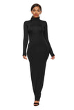 Polyester Spandex Fashion Solid Color Long Sleeve Stretch Slim Turtleneck