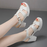 T-T-Slace Sandals Waterproof Table Thick Soles 41-43 Yards Cheongsam Runway Shoes Large-Size Coarse Heel Waterproof Table Women's