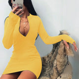 Fashion Women Sexy Bodycon Dress Autumn High Collar Long Sleeve Slim Fitness Dress Elegant Ladies Casual Pencil Dress