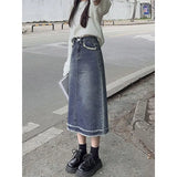 Zingj 2024 Hot Style Retro Small Fur Skirt-Outfit