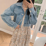 Zingj Denim Jacket Female Autumn 2024 Korean Version Loose Thin Small Jacket Short Versatile Jeans Woman-Outfit