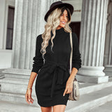Autumn / Winter 2025 Embroidered Skirt Women's Knitted Turtleneck With Hip
