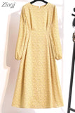 Winter Women Dress 2023 Vintage Lantern Sleeve Floral Print Chiffon Long Dress Casual A-line Elegant Party Vestidos
