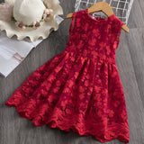 Dresses for Girls Lace Tulle Ball Design Baby Girl Dress Party Dress For 3-8 Years Infant Dresses for toddler