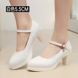 High-Heeled Shoes, Wedding Shoes, Coarse Heels, Bridal Shoes, Waterproof Platform, Wedding Dress, Bridesmaid Shoes, Cheongsam, Model, Show, Single Shoe