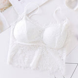 Summer Crop Tank Top Women Fashion Deep V Lace Bras Embroidery Floral Tank Top Bra Wrapped Chest Camisole Padded