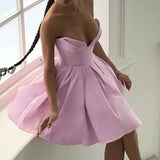 Lilac Deep Neck Corset Tube Mini Dress- Outfit