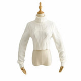 Zingj Knit Turtleneck Sweater Female Temperament Slim All-Match Solid Color Short Crop Long Sleeve Knit Jacket-Outfit