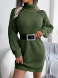 Shooting Autumn And Winter Casual Buttons High-Neck Long Sleeve Bottom Sweater Skirt Women's