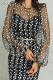 Women Elegant Fashion Long Dress Long Sleeve O Neck Slim Sheath Package Hip Ladylike Embroidered See-through Mesh Vestidos
