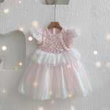 Pretty Girls Dress Birthday Party Cartoon Princess Dress Lace Kids Ball Gown Elegant Dress Cute Casual Dress Size
