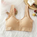 Seamless Women Tube Tops Padded Underwear U-typed Backless Streetwear Female Fitness Tops Tank