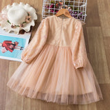 Christmas Dress Girls Winter Dress Embroidery Floral Lace Elegant Mesh Outfits New Year Vestido Infantil Girls Lace
