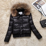 Winter Big Raccoon Feather Collar Down Jacket Female Short Yao Di Slim Add Thick Show Thin Waist Coat Tide-Outfit