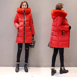 Cotton-Padded Jacket Female 2024 Winter Dress New Korean Version Of Fashion Long Cotton-Padded Jacket Female Large Size Slim Hooded Coat Female Cotton-Padded Jacket-Outfit