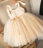 Baby Dress Girl Beading 1st Birthday Dress For Baby Girl Dress Elegant Princess Dresses Infant Party Christening