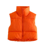 INS 9 Color Double Pocket Standing Collar Cotton Vest 2021 Autumn And Winter New Double Color Slim Cotton Jacket Vest Top-Outfit