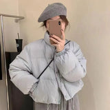 Han Version Of The East Gate Sweet Short Down Jacket Female East New Standing Collar Small White Duck Down Coat Bread Clothing-Outfit