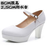 Head Buckle Waterproof Table 8CM High Heel Women's Shoes Thick-Soled Model Show Shoes Coarse Heel Work Shoes Silver Single
